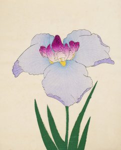 Hoshi-Zukiyo, no.45, 1898 - Japanese School