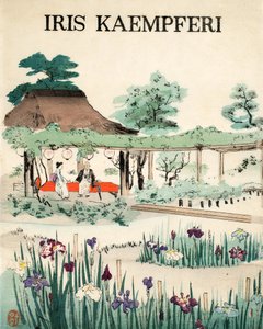 Iris Kaempferi - Couverture avant - Japanese School