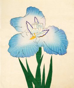 Irojiman, No. 80, 1890