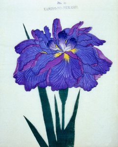 Kamiyo-no.-Mukashi, no.16, 1898