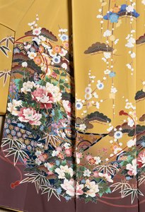 Kimono Furisode (manches flottantes) porté par de jeunes femmes célibataires lors d