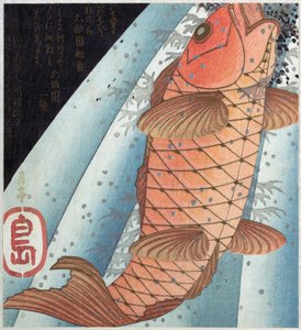 Carpe Koi; pub. c. 1820 - Japanese School