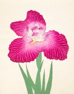 Kyo-Kano.ko, no.24, 1898