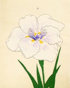 Manu-Zuru, n° 28, 1890 - Japanese School
