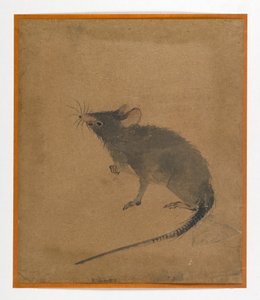 Souris