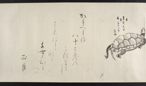 Or. 14872, f.29, Une tortue, de Yoshida Seisai - Japanese School