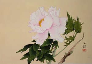 Pivoine, pub. 1950 - Japanese School