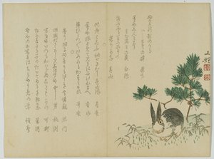 Lapin sous le pin du Nouvel An, c.1860 - Japanese School