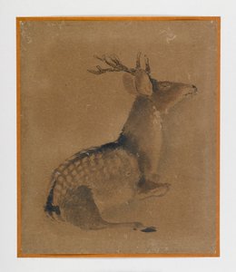 Cerf couché - Japanese School