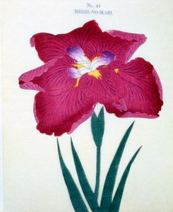Shishi-no.-Ikari, no.44, 1898 - Japanese School