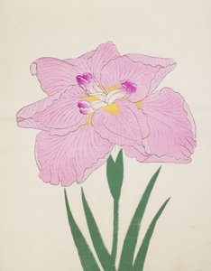 Shu-Fu-Raku, No. 58, 1890 - Japanese School