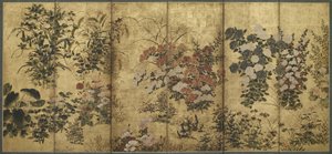 Fleurs d