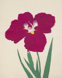 Tai-Hei-Raku, No. 18, 1890