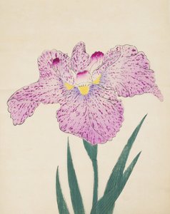 Tanka-No-Koe, No. 15, 1890