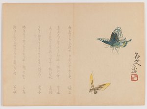 Deux papillons, vers 1860 - Japanese School