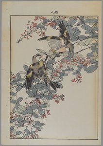 Deux oiseaux avec des fleurs roses, période Meiji, c.1868-1912 - Japanese School