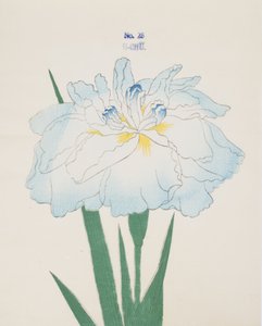 U-Chu, no.25, 1898 - Japanese School