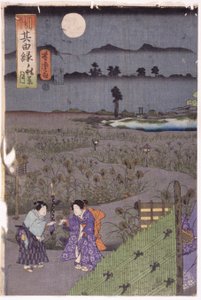 Gravure sur bois en couleur