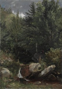 Arbres et un ruisseau sur une colline