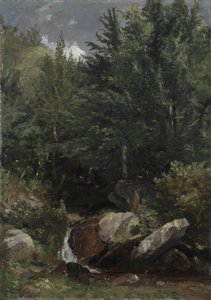 Arbres et un ruisseau sur une colline