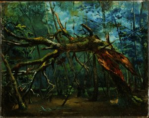Un arbre tombé