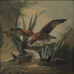 Un faucon attaquant un couple de canards - Jean-Baptiste Oudry