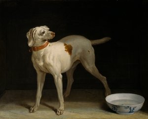 Chien - Jean Baptiste Oudry