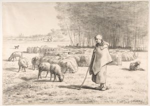 Une bergère avec son troupeau