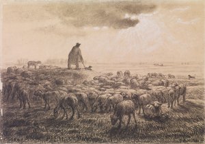 Moutons et berger