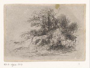 Buisson - Jean Alexis Achard