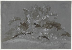 Étude de mauvaises herbes - Jean Antoine Linck