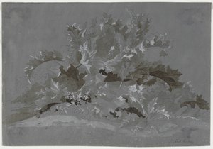 Étude de mauvaises herbes, 1800-1850 - Jean Antoine Linck