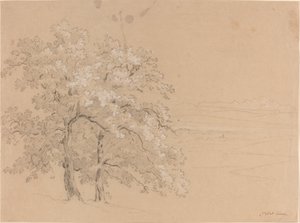 Arbres ensoleillés devant un paysage panoramique - Jean Antoine Linck