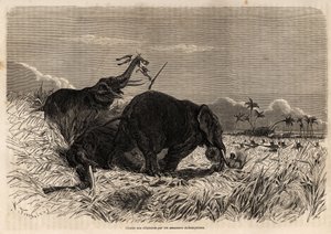La chasse aux éléphants par les Amazones du Dahomey - Jean Antoine Valentin Foulquier
