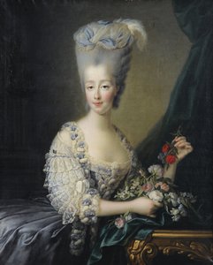 Princesse Marie-Thérèse de Savoie, Comtesse d