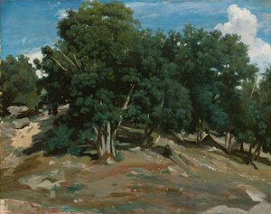 Fontainebleau : Chênes à Bas-Bréau, 1832-3 - Jean Baptiste Camille Corot