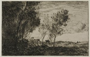 Dans les dunes : Souvenir des bois de La Haye