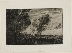 Dans les dunes : Souvenir des bois de La Haye