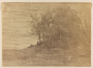Le Bois de l