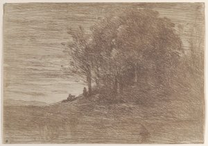 Les Bois de l