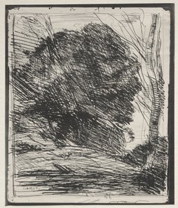 Arbres sur la montagne, impression originale 1856, imprimée en 1921 - Jean Baptiste Camille Corot