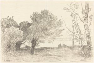 Saules et peupliers blancs - Jean Baptiste Camille Corot