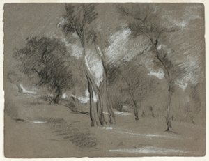Paysage avec arbres