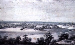 Vue depuis la maison d