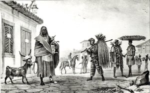 Maison à louer, cheval et chèvre à vendre, de 