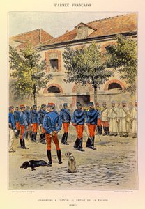 Types et uniformes de l