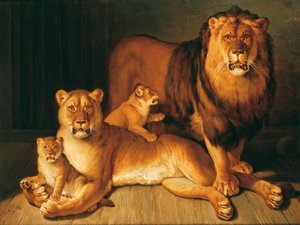 Une fierté de lions