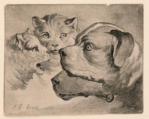 Têtes de chats et de chiens