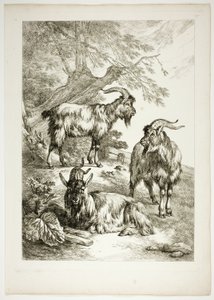 Planche Dix-sept de 38 des Œuvres de J. B. Huet - Jean Baptiste Huet
