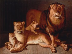 Fierté des lions - Jean Baptiste Huet